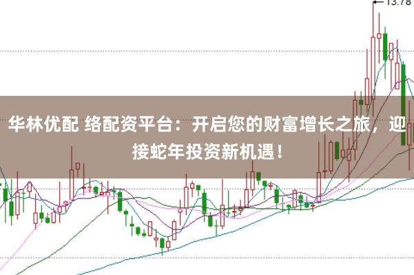 华林优配 络配资平台：开启您的财富增长之旅，迎接蛇年投资新机遇！