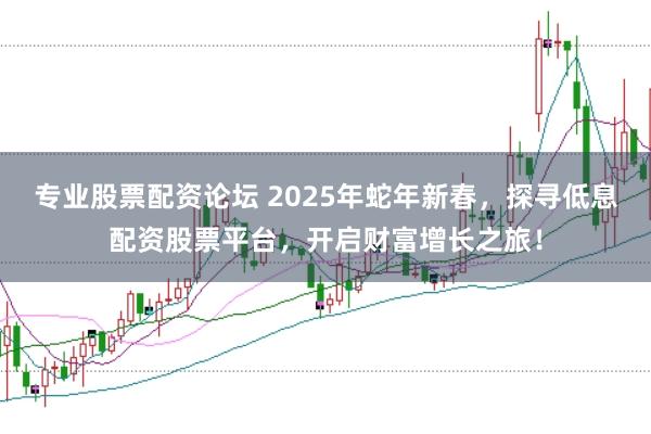 专业股票配资论坛 2025年蛇年新春，探寻低息配资股票平台，开启财富增长之旅！
