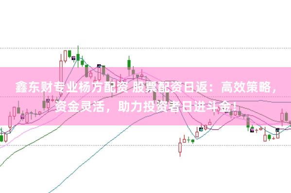 鑫东财专业杨方配资 股票配资日返：高效策略，资金灵活，助力投资者日进斗金！