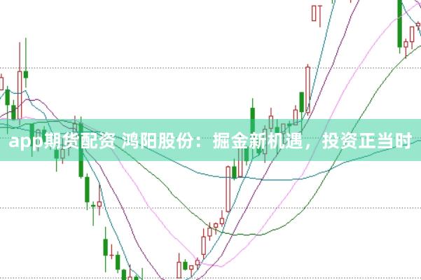 app期货配资 鸿阳股份：掘金新机遇，投资正当时