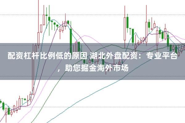 配资杠杆比例低的原因 湖北外盘配资：专业平台，助您掘金海外市场