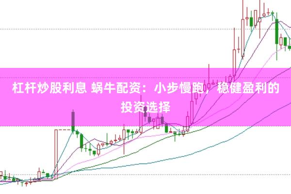 杠杆炒股利息 蜗牛配资：小步慢跑，稳健盈利的投资选择