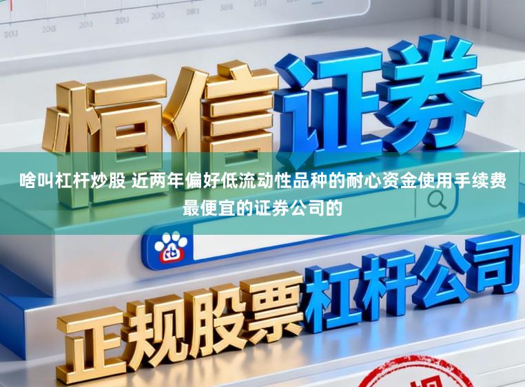 啥叫杠杆炒股 近两年偏好低流动性品种的耐心资金使用手续费最便宜的证券公司的