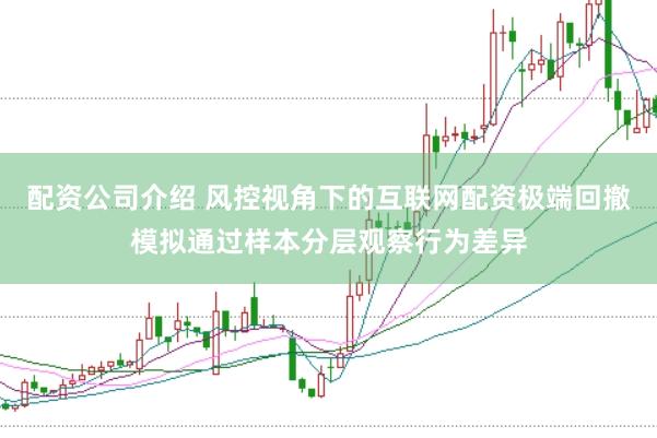 配资公司介绍 风控视角下的互联网配资极端回撤模拟通过样本分层观察行为差异