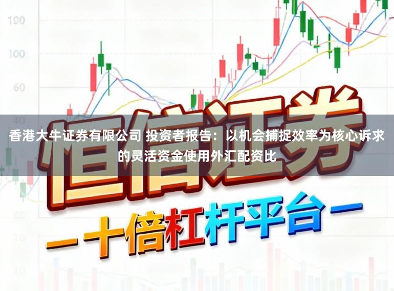 香港大牛证券有限公司 投资者报告：以机会捕捉效率为核心诉求的灵活资金使用外汇配资比