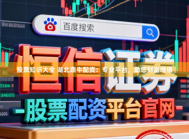 股票知识大全 湖北鼎牛配资：专业平台，助您财富增值